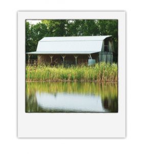 Hats Off to Homesteaders Image